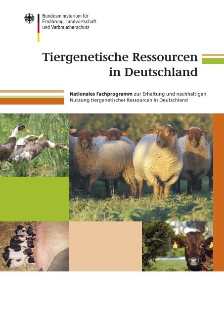 Tiergenetische Ressourcen in Deutschland - BMELV