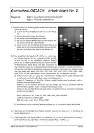 GentechnoLOGISCH - Arbeitsblatt Nr. 2 - Forschung für Leben