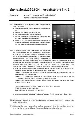 GentechnoLOGISCH - Arbeitsblatt Nr. 2 - Forschung für Leben