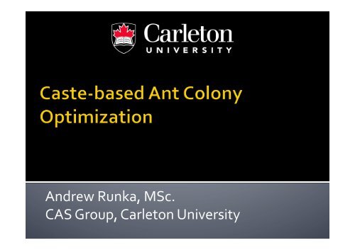 CACO: Colony-based Ant Colony Optimization