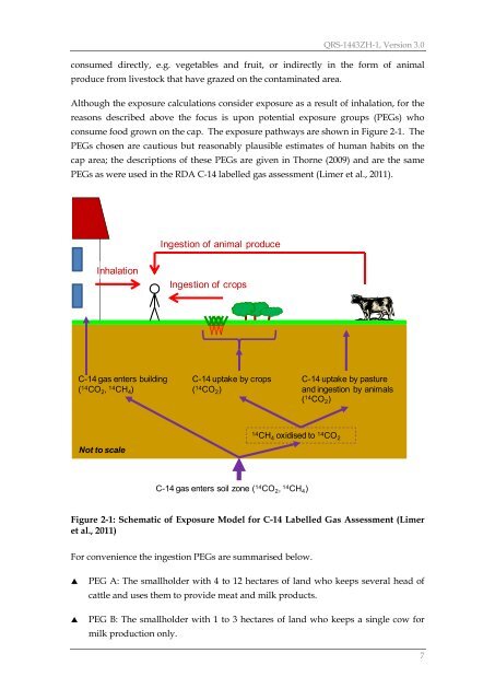 Limer LMC, Assessment Calculations for C-14 Labelled Gas and ...