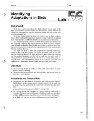 Lab Bird Adaptations