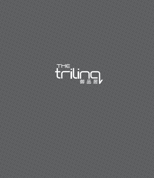 The Trilinq - EBrochure.pdf