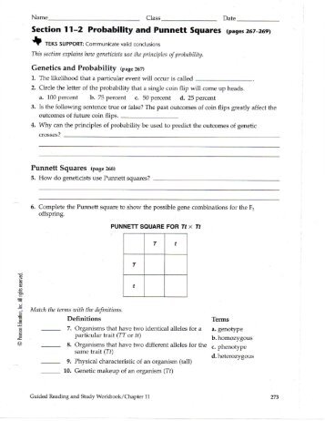 11-2 PROBABILITY AND PUNNETT SQUARES PDF