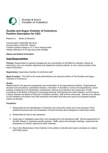 job description for ceo