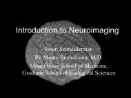 Introduction to PET and MRI Neuroimaging Techniques