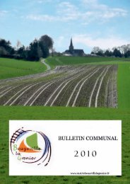 Le bulletin communal paru en janvier 2011 - Bienvenue à ...