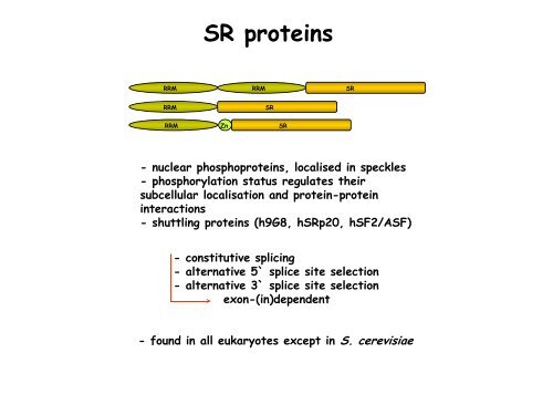 RNA Splicing: Removal of Introns from Primary ... - EURASNET