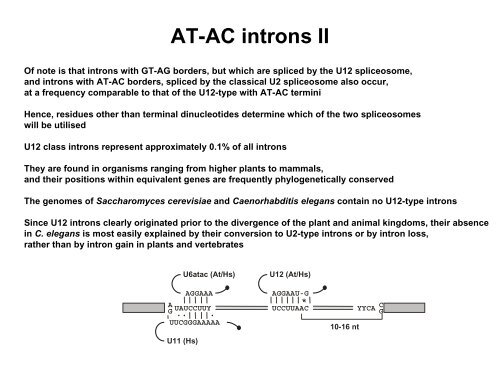 RNA Splicing: Removal of Introns from Primary ... - EURASNET