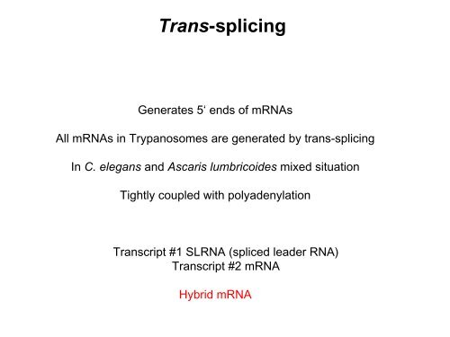 RNA Splicing: Removal of Introns from Primary ... - EURASNET