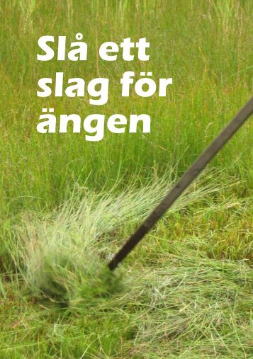 sla-ett-slag-for-angen