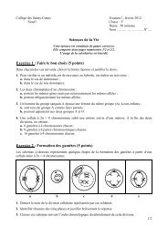 Exercice 2 : Formation des gamÃ¨tes (5 points) - Sioufi