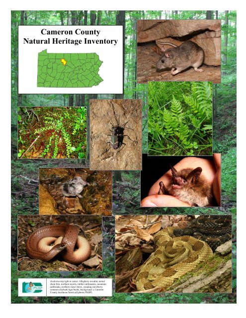Cameron - Pennsylvania Natural Heritage Program