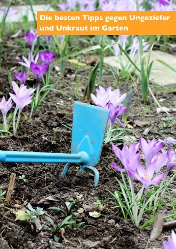 1. Die besten Tipps gegen Ungeziefer und Unkraut im Garten