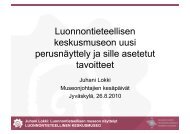 Juhani Lokki - Suomen museoliitto