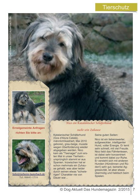 Dog Aktuell Das Hundemagazin Ausgabe 2-2015