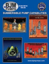 SUBMERSIBLE PUMP CAPABILITIES - BJM Pumps