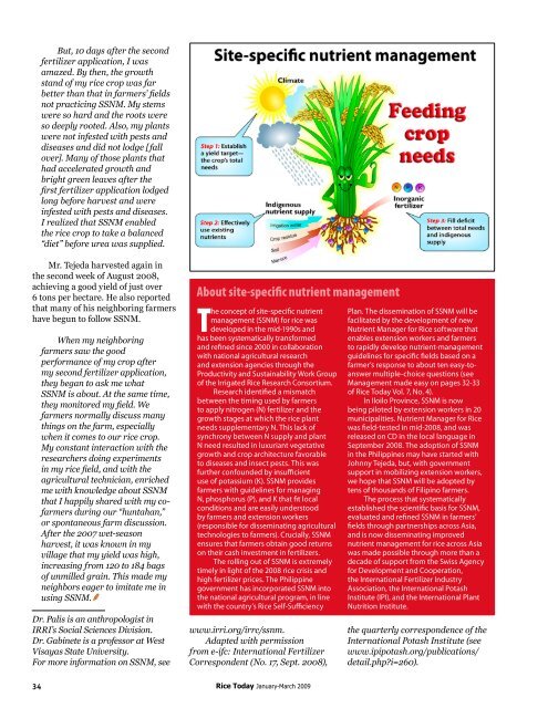 How much water does rice need? - adron.sr