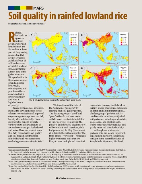 How much water does rice need? - adron.sr