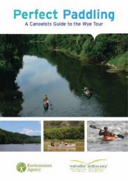Perfect Paddling, A Canoeists Guide to the River Wye - Forest of Dean