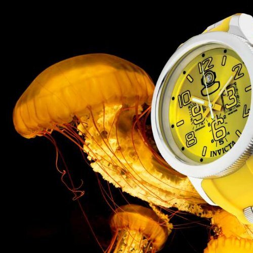 The Invicta Ocean Jelly