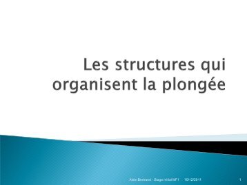 Les structures qui organisent la plongÃ©e - ffessm