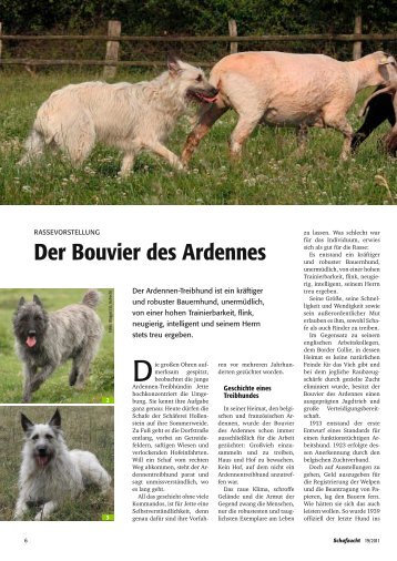 Unsere Autorin - Bouvier des Ardennes