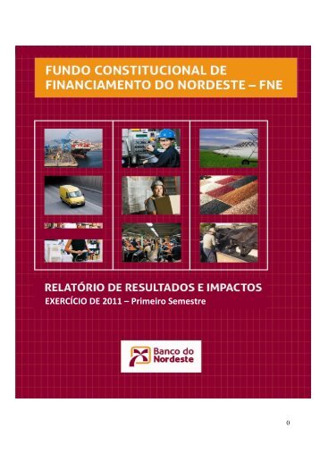 Resultados e Impactos FNE 1Âº Semestre de 2011 - Sudene