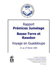 Rapport: PrÃ©mices du Jumelage Basse-Terre (Guadeloupe)