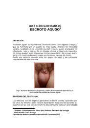 GUIA CLINICA ESCROTO AGUDO 2012.pdf - clasemedicina