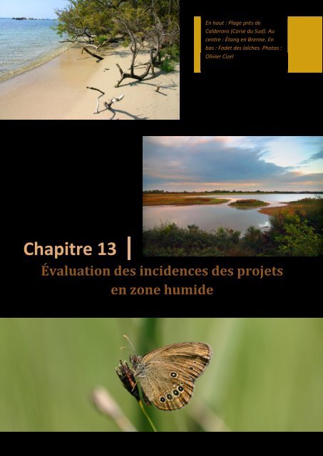 Protection et gestion des zones humides - PÃ´le-relais lagunes ...