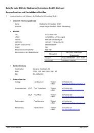Datenformate GAS der Stadtwerke Schneeberg GmbH - Lieferant ...