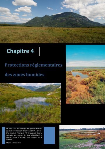 Protection rÃ©glementaire des zones humides - PÃ´le-relais lagunes ...
