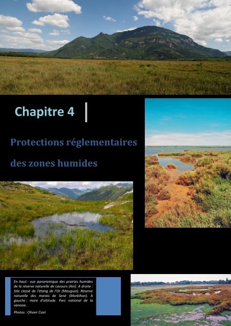 Protection rÃ©glementaire des zones humides - PÃ´le-relais lagunes ...