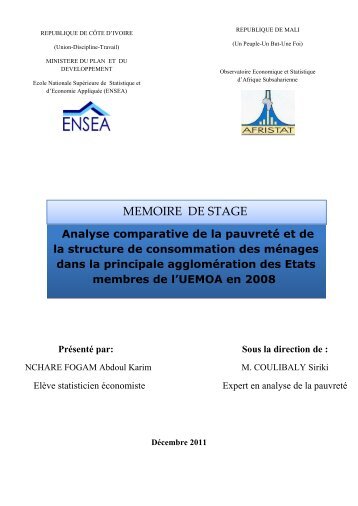 MEMOIRE DE STAGE - Afristat