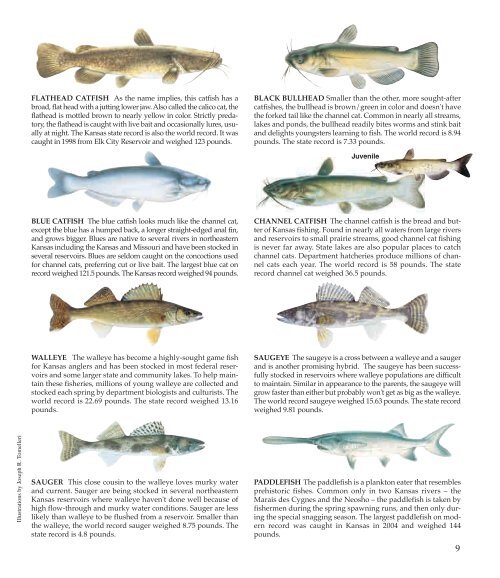 Fishing Guide - Kansas Department of Wildlife and Parks