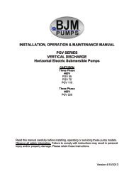 PGV-Series Operation Manual - BJM Pumps