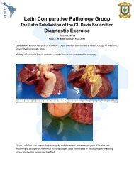 Latin Comparative Pathology Group - Charles Louis Davis, DVM ...