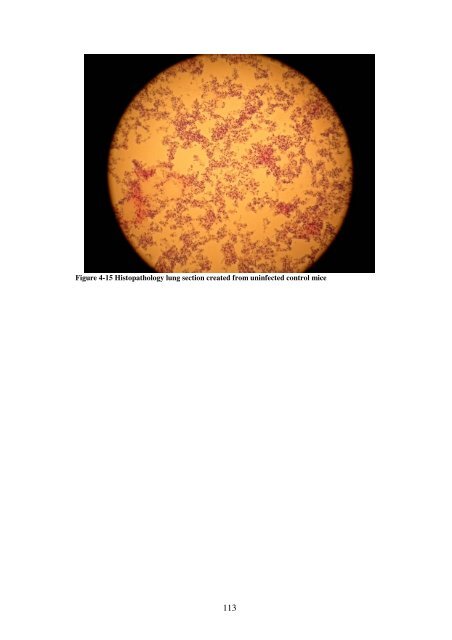 5 The role of quorum-sensing in the virulence of Pseudomonas ...