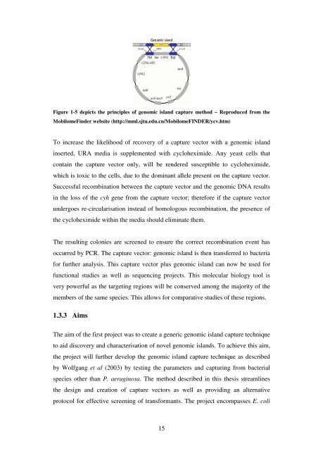 5 The role of quorum-sensing in the virulence of Pseudomonas ...