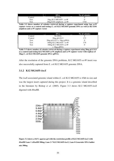 5 The role of quorum-sensing in the virulence of Pseudomonas ...