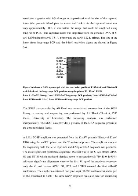 5 The role of quorum-sensing in the virulence of Pseudomonas ...