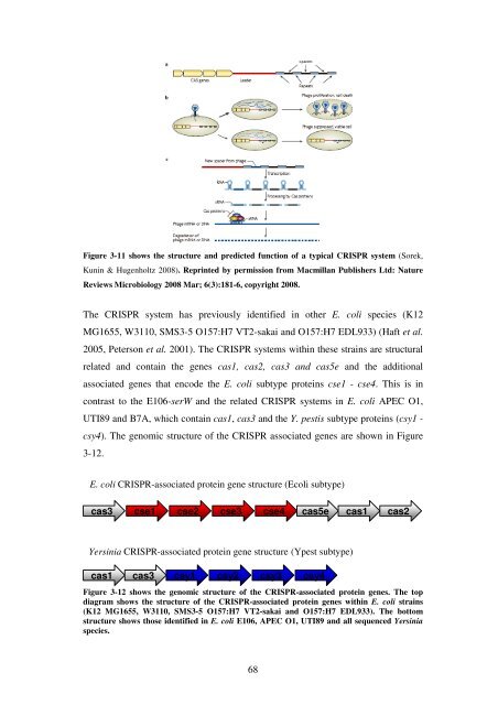 5 The role of quorum-sensing in the virulence of Pseudomonas ...