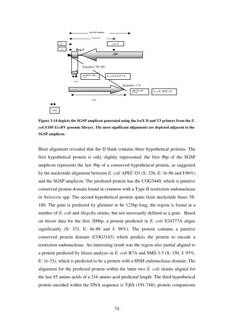 5 The role of quorum-sensing in the virulence of Pseudomonas ...