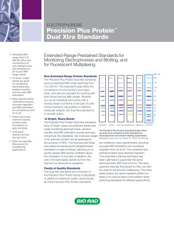 Precision Plus Protein™ Dual Xtra Standards - Bio-Rad