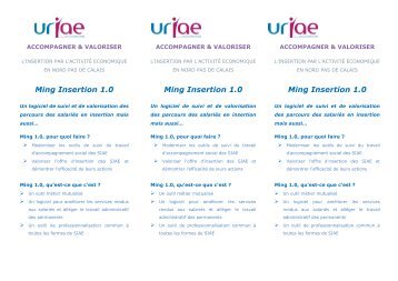 Ming Insertion 1.0 Ming Insertion 1.0 Ming Insertion 1.0 - URIAE