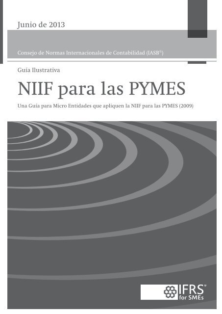 GuÃ­a para Micro Entidades que apliquen la NIIF para las PYMES