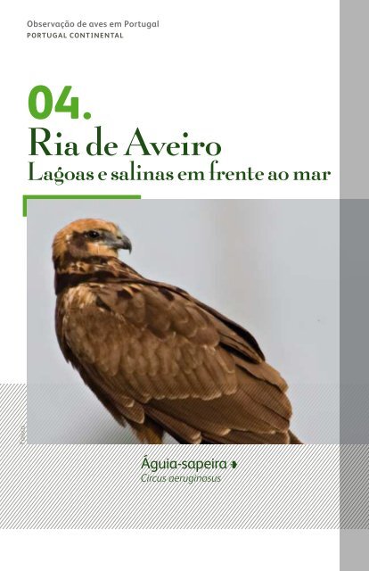 ObservaÃ§Ã£o de aves: Portugal - turismodeportugal.pt