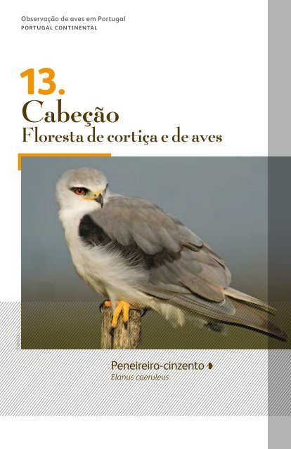 ObservaÃ§Ã£o de aves: Portugal - turismodeportugal.pt