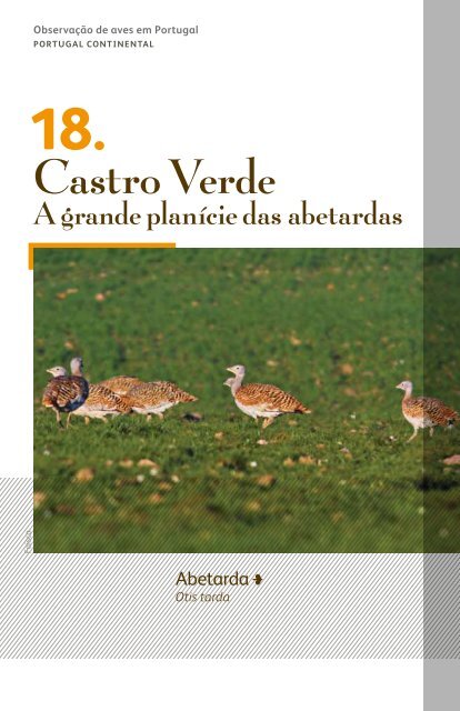 ObservaÃ§Ã£o de aves: Portugal - turismodeportugal.pt